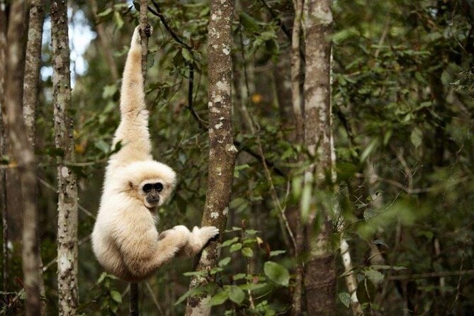 3 Day Garden Route Tour - Price and value for a 3-day Route 62 to safari package