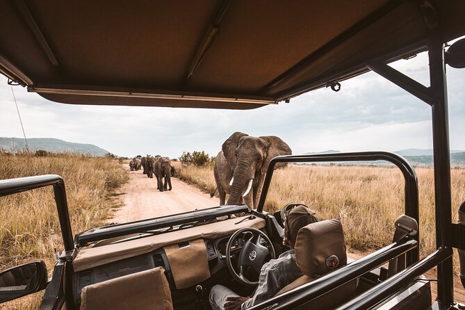 3 Day Garden Route Tour - Day 1: Cango Caves, ostriches, and your Oudtshoorn base