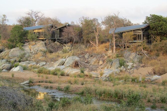3 Day Greenfire Game Lodge Safari - Greenfire Game Lodge on the Mohlabetsi River, where modern design meets safari time