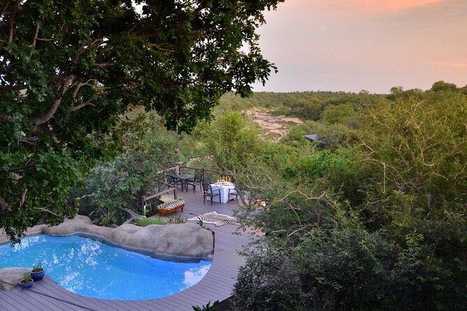 3 Day Greenfire Game Lodge Safari - Day 2: sunrise, a birding hide, then sunset drives that keep the day moving