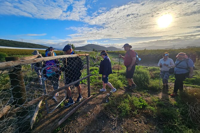 3 Day - Guided Private Wine Walk Trails and Fossil Hunt - Fossil Hills Wine Walk, in plain language