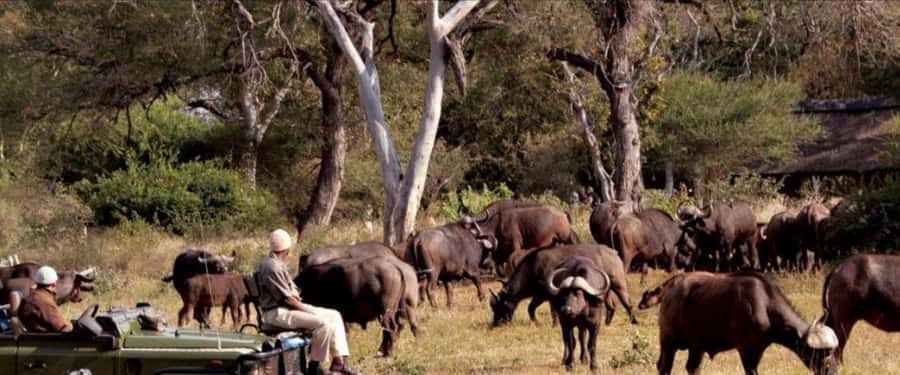 3 Day Hluhluwe & Isimangaliso Wetlands Pk Tour from Durban - Where Hluhluwe and Isimangaliso work together