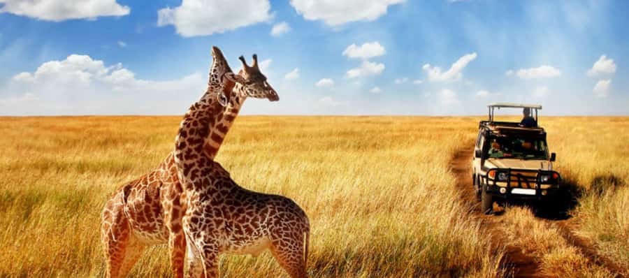 3 Day Hluhluwe & Isimangaliso Wetlands Pk Tour from Durban - Who this tour suits best