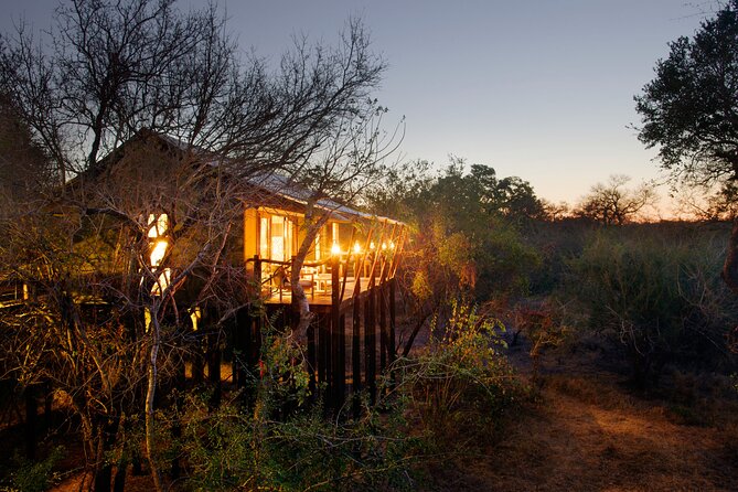 3 Day Kapama Buffalo Camp Safari - Day 3: Last sunrise drive, hearty breakfast, then back to Johannesburg