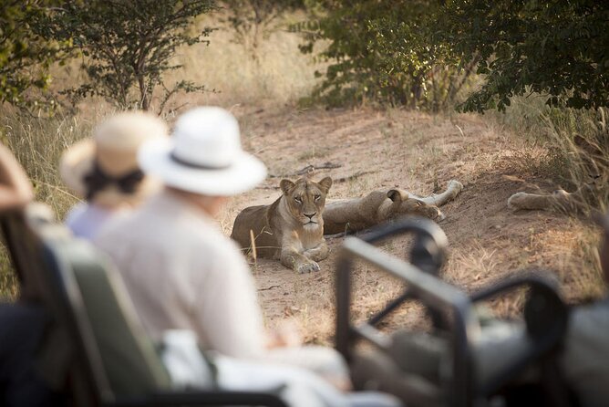 3 Day Kapama Southern Camp Safari - Key Highlights You’ll Care About