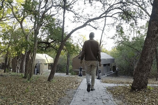 3 Day Kruger Adventure Safari - Guides and the Big Five: How Much Control Do You Really Have?