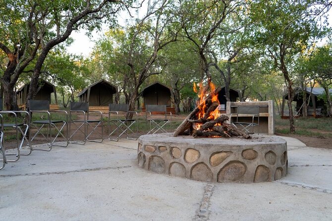 3 Day Kruger Glamping Budget Adventure - Day 2: The Orpen-Satara Safari That Tries Hard for Lions
