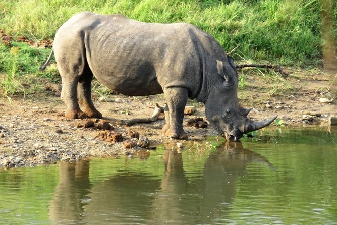 3 Day Kruger National Park and Crocodile River Safari - Price and Logistics: What You Pay for at This Level