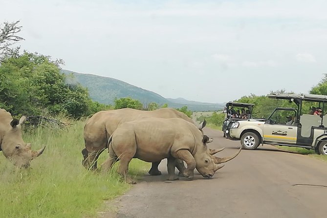 3 day Kruger National Park end with panaroma - Key Points You’ll Care About