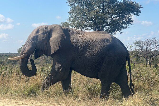 3 day Kruger National Park end with panaroma - Practical Tips for Better Wildlife Spotting and Smoother View Stops