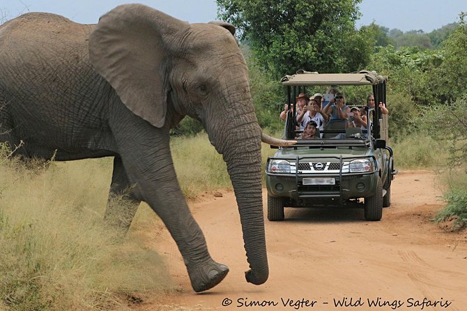 3-Day Kruger National Park Open Vehicle Safari - Why open-vehicle drives matter in Kruger