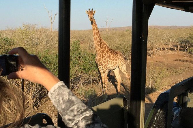 3-Day Kruger National Park Open Vehicle Safari - Day 2: flexible driving, with the option to go all day