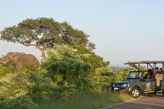 3-Day Kruger National Park Safari including Breakfast and Dinner - What $921.99 Buys You, and Where the Value Actually Comes From