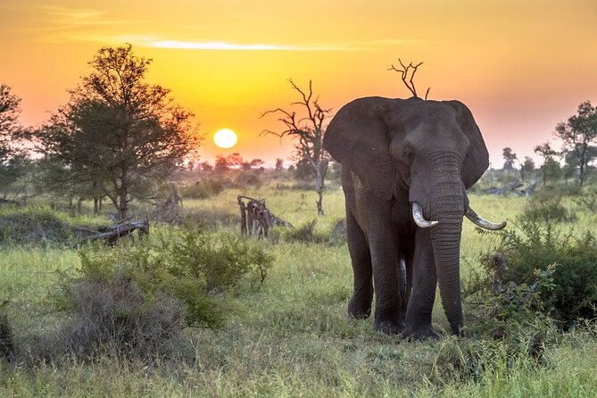 3 Day Kruger National Park Safari & Panorama Route - Johannesburg to Kruger, without the stress
