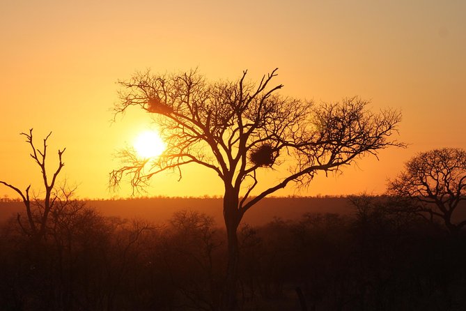 3 Day Kruger National Park tour - Key points to know before you go