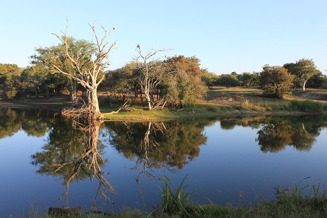 3 Day Kruger National Park tour - Day 2 at Orpen Gate: a full day safari with early starts