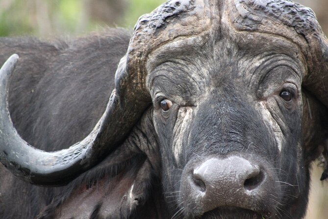 3 Day Kruger National Park tour - What’s included (and what you’ll pay for) on a day-to-day basis