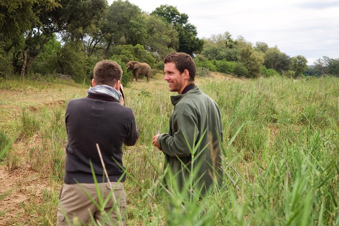 3 Day Lodge/Treehouse Kruger National Park Safari - Blyde River Canyon and the Three Rondawels stop on the way home