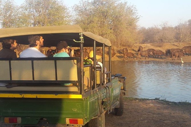 3 Day Lodge/Treehouse Kruger National Park Safari - How to set your expectations for the 3-day safari pace