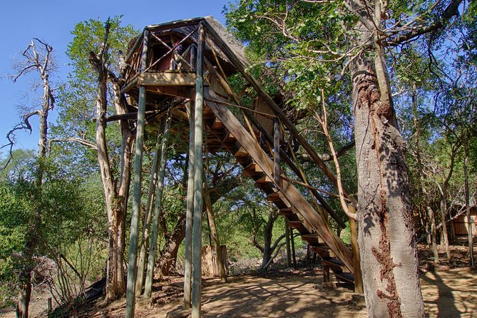 3 Day Lodge/Treehouse Kruger National Park Safari - Tremisana Safari Lodge, sunset drive, and the Marula Tree Boma BBQ