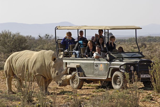 3 Day Luxury Aquila Private Game Reserve - Private group comfort and how it changes the experience