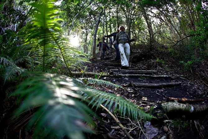 3-Day Private Hiking Trail in The Overberg - Key highlights to watch for on the Fynbos Trail