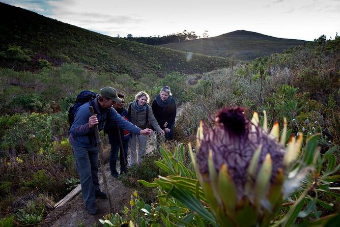 3-Day Private Hiking Trail in The Overberg - Starting at Fynbos Trail7210, 2pm and ready to walk