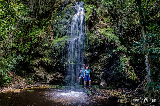 3-Day Private Hiking Trail in The Overberg - What you’ll actually walk through: coastal fynbos, forest pockets, and water sounds