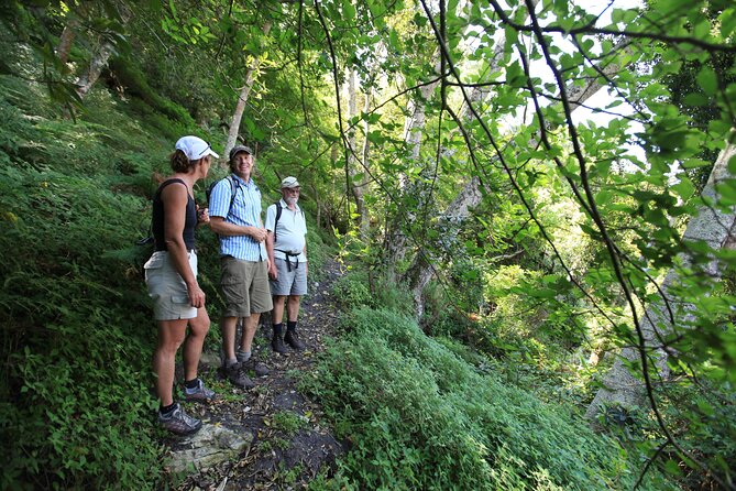 3-Day Private Hiking Trail in The Overberg - Private group pace, family friendly, and who this suits best