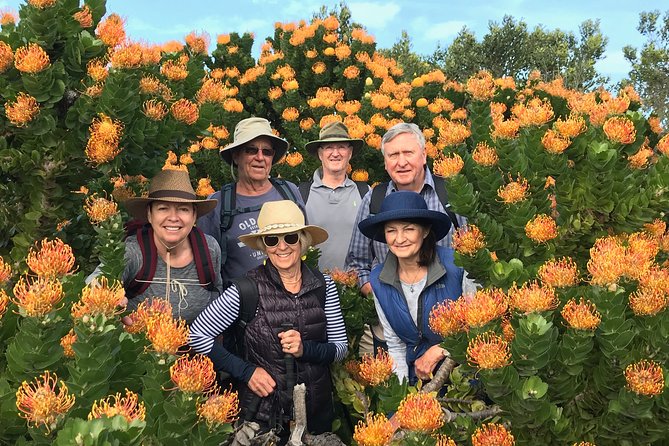 3-Day Private Hiking Trail in The Overberg - Price and value: $207.23 per person for three days that include meals and extras