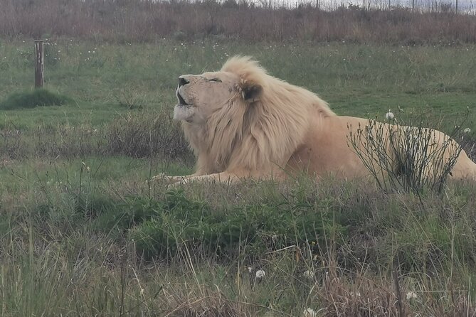 3-Day Private Tour Johannesburg - See everything - Key highlights you will feel right away