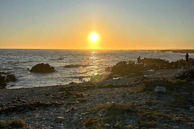 3 Day Safari and Coastal Tour from Cape Town - Price and value: what you get for $604.60 per person
