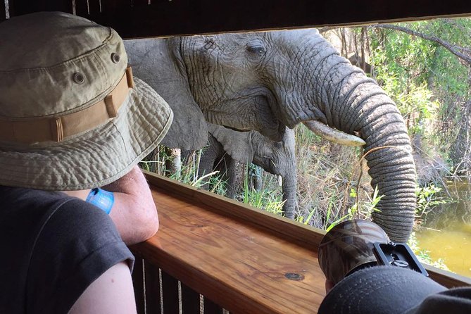 3-Day Tour of Kruger National Park from Skukuza Airport - Key things that make this Kruger safari work
