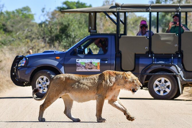 3-Day Tour of Kruger National Park from Skukuza Airport - Day 2: the long Southern Kruger day with a midday break