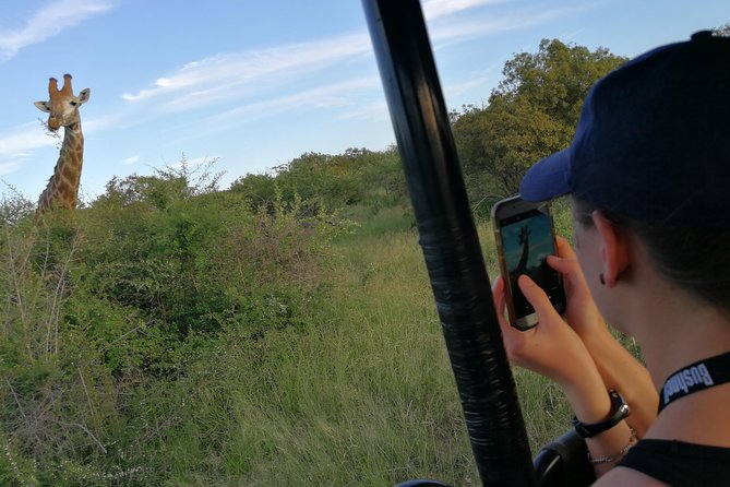 3-Day Tour of Kruger National Park from Skukuza Airport - Big Five targets, plus the action you can miss if you rush