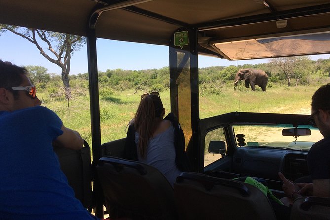 3-Day Tour of Kruger National Park from Skukuza Airport - Day 1: your first afternoon drive and the gate-close rhythm