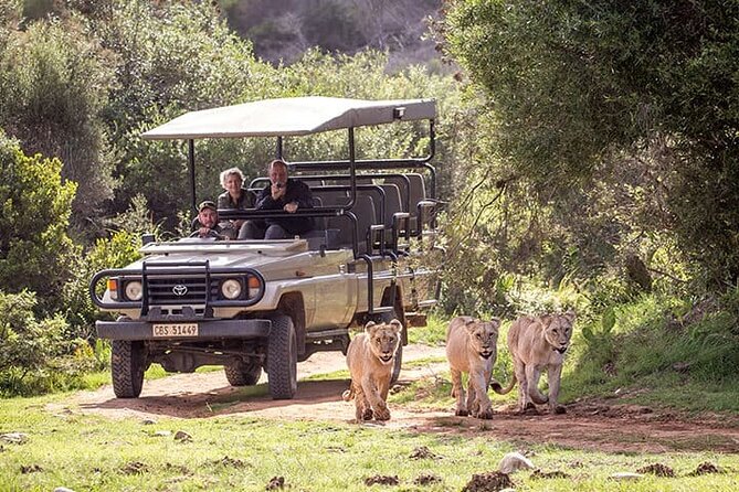 3 Days 2 Nights Garden Route Private Tour from Cape Town - Cape Town pickup at 6:30am: the comfort you’re really paying for