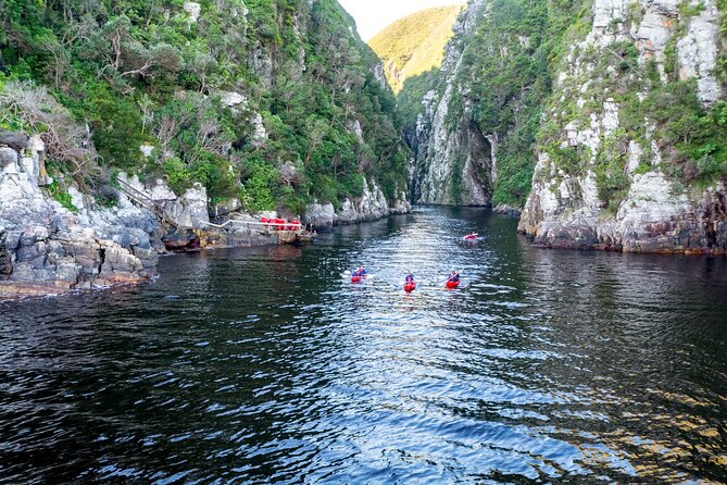 3 Days 2 Nights Garden Route Private Tour from Cape Town - Day 3: Cango Caves, Cango Wildlife Ranch, and a 4x4 ostrich safari