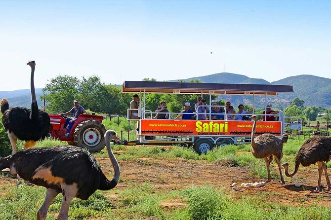 3 Days 2 Nights Garden Route Private Tour from Cape Town - Price and value: is $939.85 per person fair?