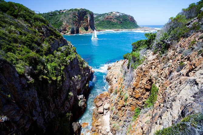 3 Days 2 Nights Garden Route Private Tour from Cape Town - Day 1: Aloe coffee stop, Botlierskop Big Five drive, then Knysna by dinner