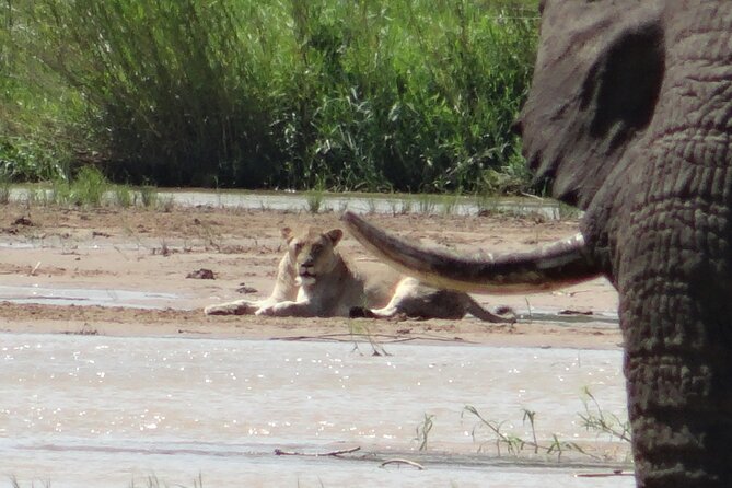 3 Days Durban Safari Tour Package - Key takeaways before you book