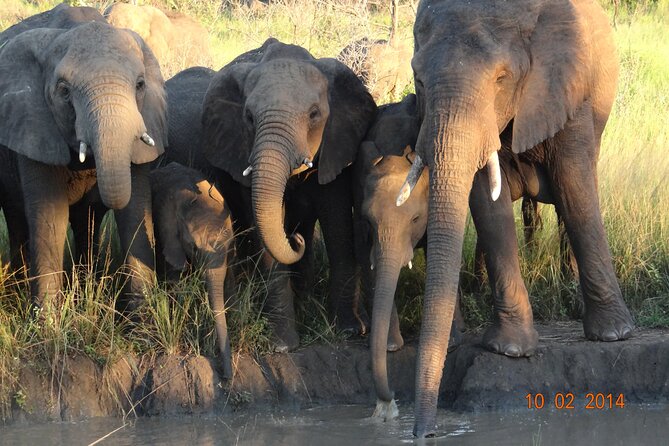 3 Days Durban Safari Tour Package - Day 3: last safari morning, then St Lucia’s iSimangaliso boat cruise
