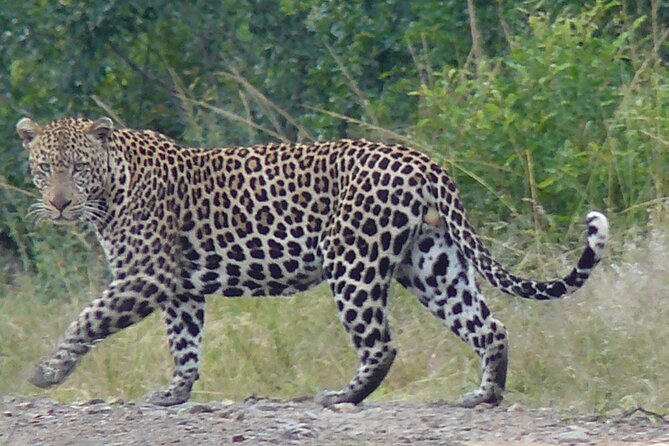 3 Days Durban Safari Tour Package - Accommodation and meals: what’s included, and what you’ll likely pay for