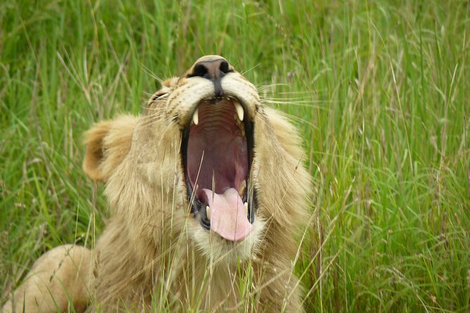3 Days Durban Safari Tour Package - Guides like Sheldon, Cibo, and Sibo are part of the experience