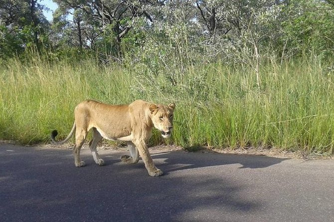 3 Days Johannesburg - Kruger Safari- Blyde River Canyon - Food, timing, and the practical stuff that affects your enjoyment