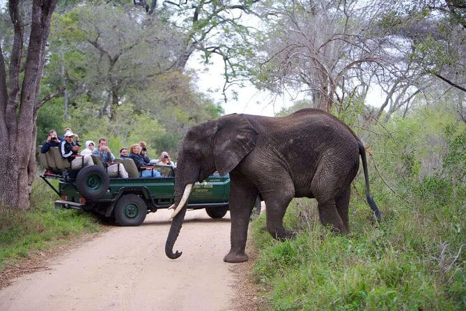 3-Days Ultra Luxury Safari at Kapama River Lodge - The 3-day itinerary, hour by hour (and what to expect)