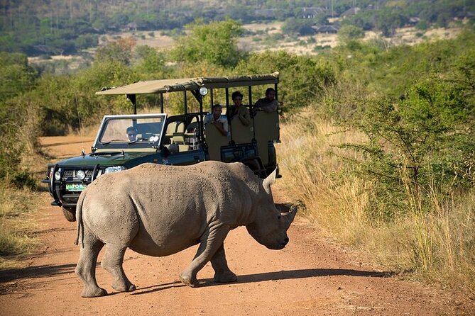 3-Hour Private Game Drive in Pilanesberg National Park - What Kinds of Groups Should Book This