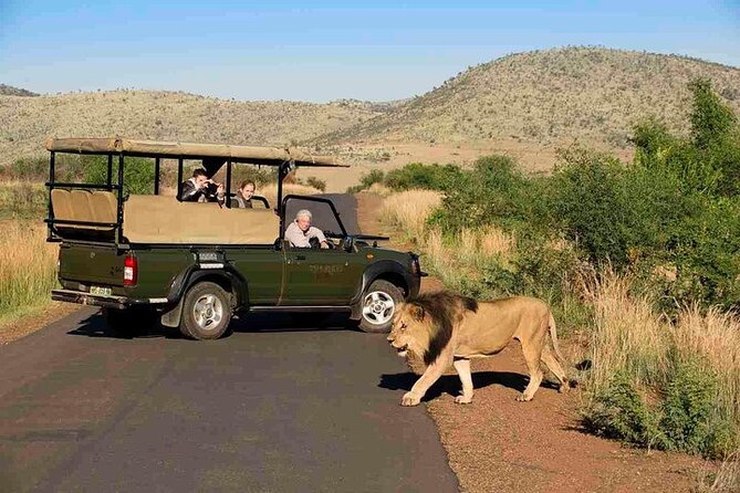 3-Hour Private Game Drive in Pilanesberg National Park - Inside Pilanesberg National Park: What 3 Hours Really Means