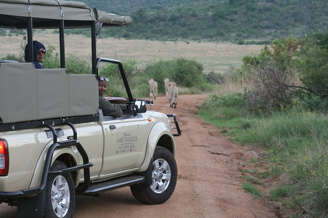 3-Hour Private Game Drive of Pilanesberg National Park - What’s Included, What’s Not, and How to Judge the Value