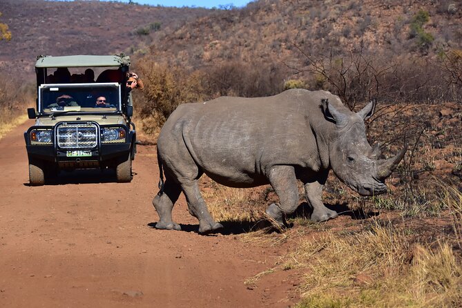 3-Hour Private Game Drive of Pilanesberg National Park - Who This Private Drive Is Best For